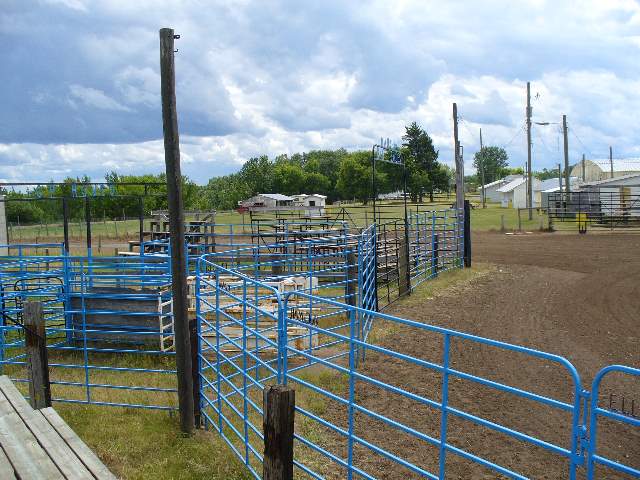 GilbertPlainsRodeo_P1020633