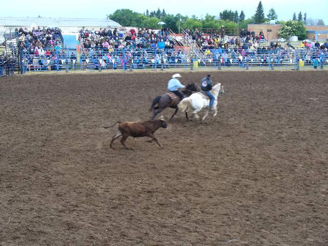 GilbertPlainsRodeo_P1020667