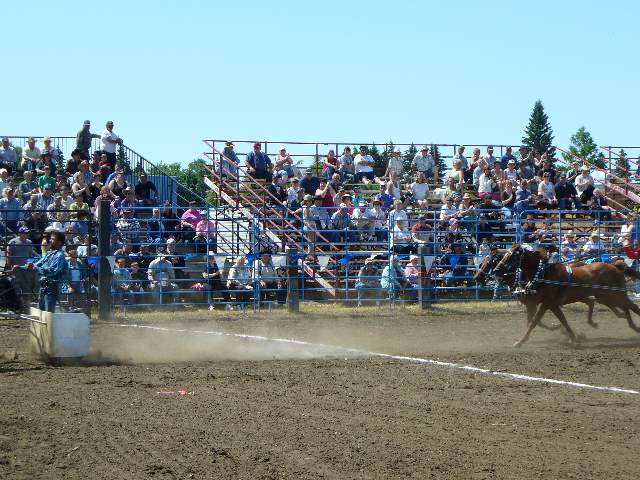 GilbertPlainsRodeo_P1020677