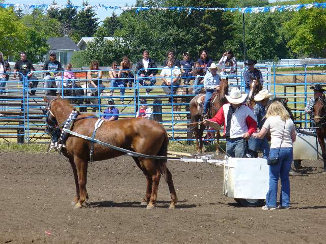 GilbertPlainsRodeo_P1020703