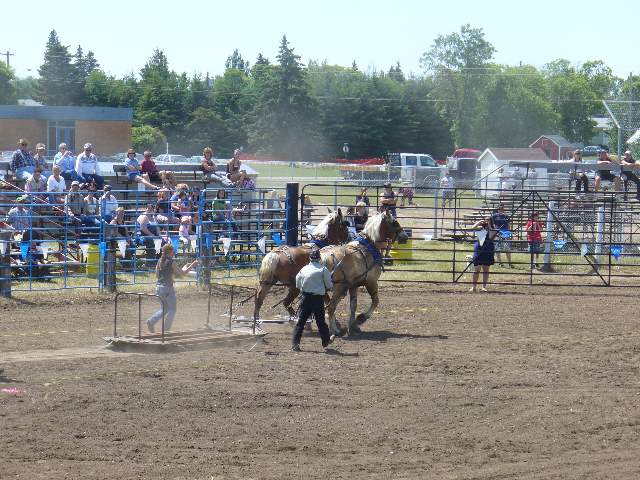 GilbertPlainsRodeo_P1020708