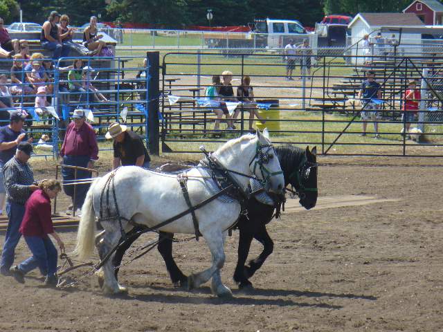 GilbertPlainsRodeo_P1020710