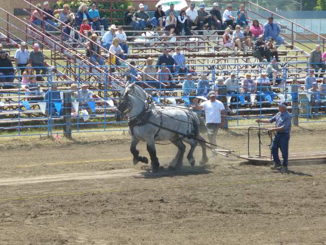 GilbertPlainsRodeo_P1020715