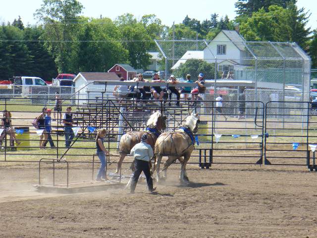 GilbertPlainsRodeo_P1020721