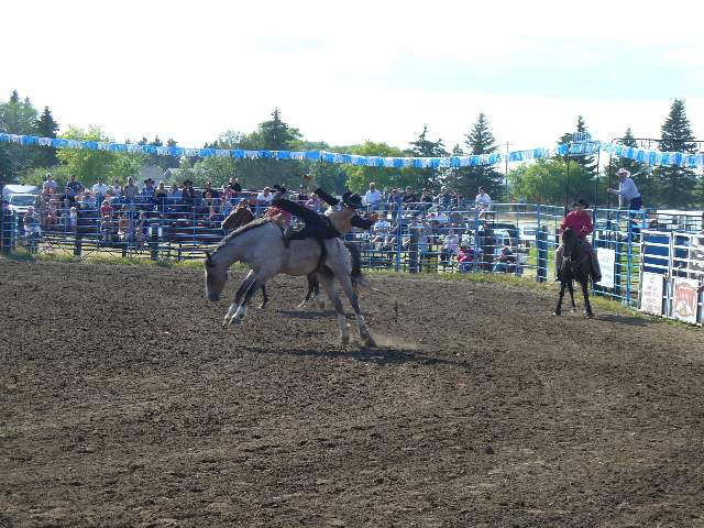 GilbertPlainsRodeo_P1020762