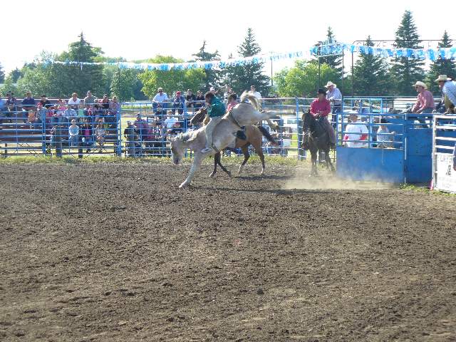 GilbertPlainsRodeo_P1020766