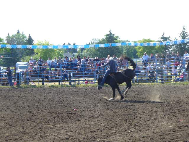 GilbertPlainsRodeo_P1020776