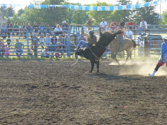 GilbertPlainsRodeo_P1020838