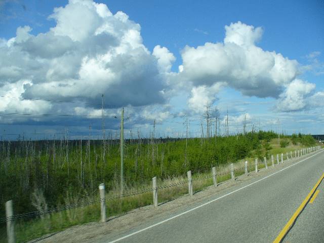 Longlac_P1020937