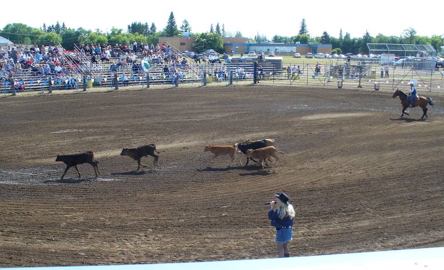 Suzanne performing at Rodeo